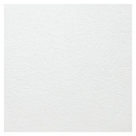 Потолочная плита Армстронг BIOGUARD PLAIN Tegular 24 1200x600x15
