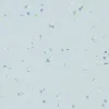 Коммерческий гомогенный линолеум Forbo Sphera Energetic 2.0 м 52267 shimmer celeste